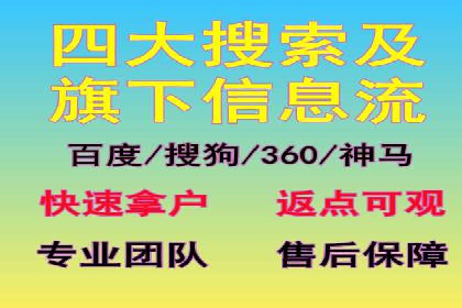 信息流广告代理项目案例分析